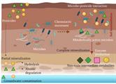 Recent Advancements In Microbe-pesticide Interaction: A Smart-soil ...